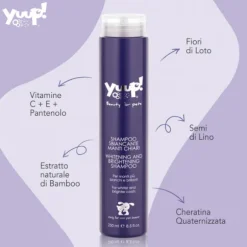 Shampoo manti chiari sbiancante Yuup
