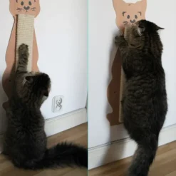 Tavoletta Tiragraffi in legno a forma di gatto Trixie