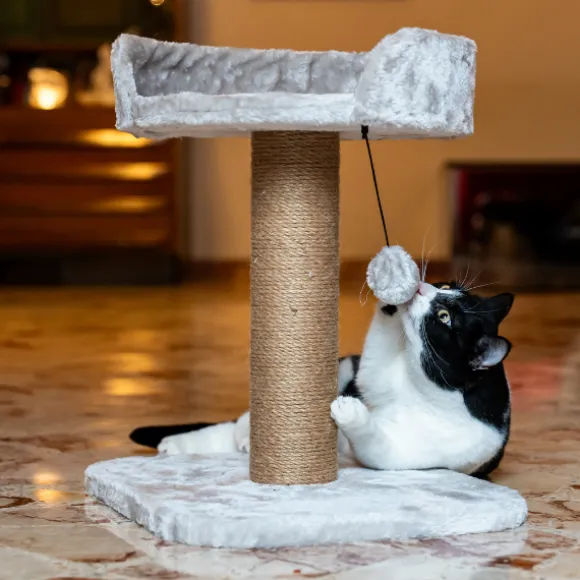 Tiragraffi per gatti Madrid PetUp