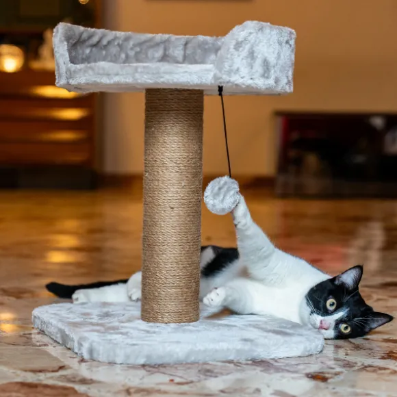 Tiragraffi per gatti Madrid PetUp