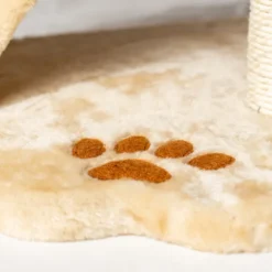 Tiragraffi per gatti Torino PetUp