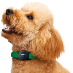Trackipet Localizzatore satellitare GPS per animali domestici