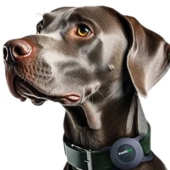 Trackipet Localizzatore satellitare GPS per animali domestici