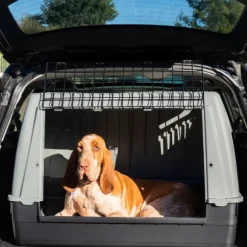 Trasportino per auto Bracco PetUp