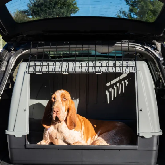 Trasportino per auto Bracco PetUp