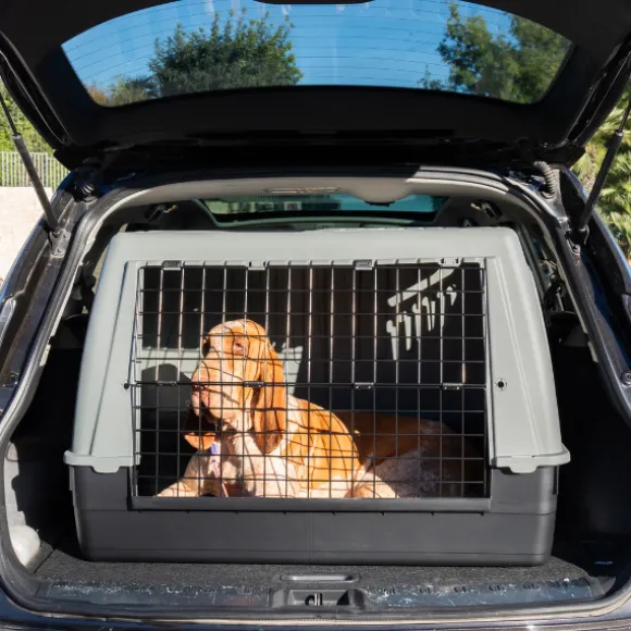 Trasportino per auto Bracco PetUp