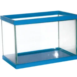 Vaschetta Azzurra Amtra