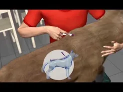 Vectra 3D 3 pipette per cani
