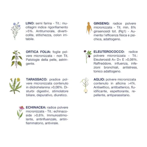 Vet Line Secco Monoproteico Cane Adult Maiale