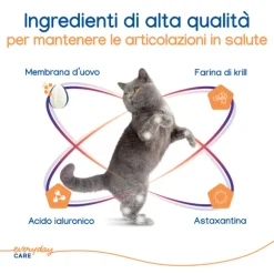 Virbac Movoflex per la salute articolare del gatto