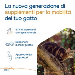Virbac Movoflex per la salute articolare del gatto