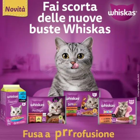 Whiskas Pranzetti Multipack 6 pezzi da 50 gr
