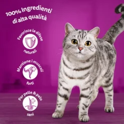 Whiskas Pure Delight Multipack 4 pezzi da 85 gr