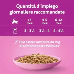 Whiskas Selezione assortita Multipack 40 pezzi da 85 gr