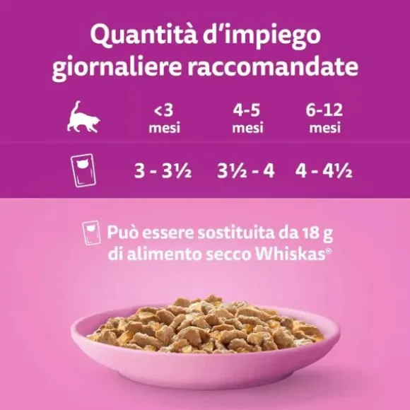 Whiskas Selezione assortita Multipack 40 pezzi da 85 gr